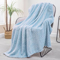 Exclusivo Mezcla Fleece Throw Blanket for Couch, 50x70 Inches Soft Cozy Jacquard Flannel Blankets, Lightweight Fuzzy Plush Warm Throws for Winter, Light Blue