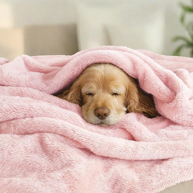 Exclusivo Mezcla Plush Fuzzy Fleece Bed Blanket King Size, Super Soft, Fluffy and Warm Blankets, Suitable for All Seasons (Light Pink, 90x104 Inches)