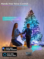 BrizLabs Smart Fairy String Lights, 66ft 200 LED WiFi RGB Christmas Fairy Lights App Control, Dimmable Rainbow Christmas Lighting, Music Sync Xmas Decorative Lighting Work with Alexa & Google Home