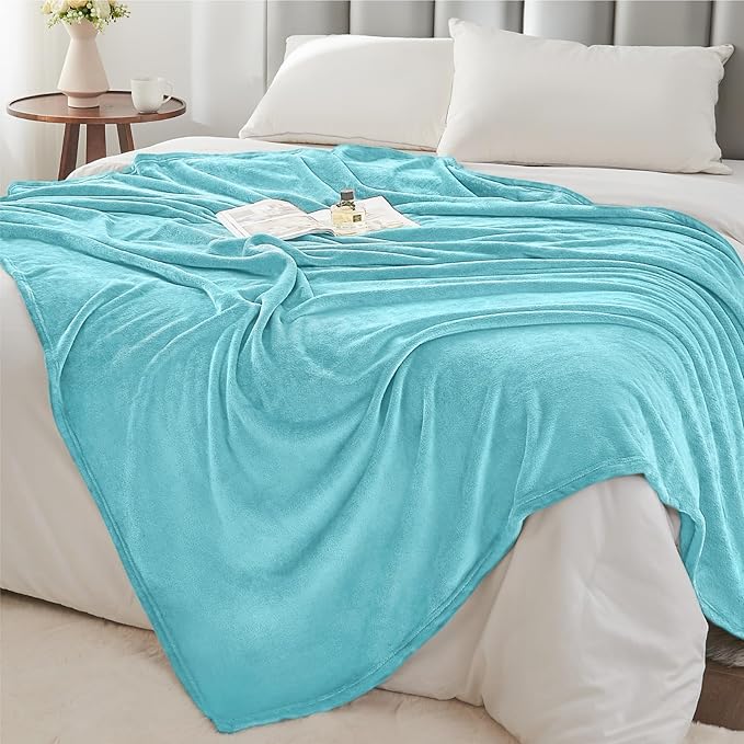 BEDELITE Fleece Blanket Twin Size Light Blue Throw Blankets for Couch & Bed, Luxury Plush Cozy Fuzzy Blanket 60x80 inches, Super Soft Warm Lightweight Throw Blanket for Travel Camping