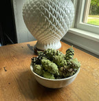 Hillhouse Naturals Balsam Fir & Cedar 8oz Potpourri Green Pine Cones. Fresh Green Notes, snowkissed Balsam fir and Crisp Cedar Waft a Breath of Winter air into Your Home. Made in The USA.