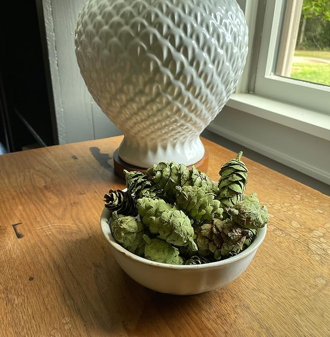 Hillhouse Naturals Birchwood & Spruce 8oz Potpourri Green Pine Cones. Solitude of Winter with fragrances of Aspen Birchwood, Spruce and Bergamot. Made in The USA.