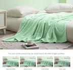 Exclusivo Mezcla Fleece Throw Blanket for Couch, 50x70 Inches Soft Cozy Jacquard Flannel Blankets, Lightweight Fuzzy Plush Warm Throws for Winter, Light Green