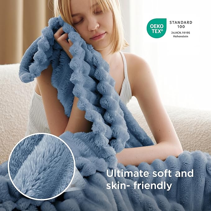 Bedsure GentleSoft Twin Blanket for Couch - Cozy Soft Blankets for Women, Cute Small Throws for Girls, Ashley Blue, 60x80 Inches