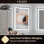 TETOTE Bathroom Mirror with Lights 20x28 Brushed Nickel LED Mirror Silver Frame Frontlit & Backlit Lighted Vanity Mirror Baroque Anti Fog Dimmable White/Warm/Natural,Wall Mounted(Horizontal/Vertical)