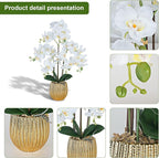 Ziwon Artificial Orchid Flowers & Plants Potted in Ceramic Pot, White Faux Phalaenopsis Orchids for Table Centerpiece, Realistic Fake Flower Arrangement for Home Office Decor Indoor