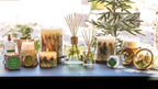 Rosy Rings Botanical Reed Diffuser Forest 13 Ounces - Lasts 6-12 Months, Aromatherapy Diffuser, Reed Diffuser with Botanicals Perfect for Home Decor!