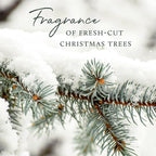 Thymes Pura Refills – 2 Pack of Oil Diffuser Scents – Long-Lasting Pura Diffuser Refills – Premium Home Fragrance – Notes Siberian Fir Needles, Cedarwood & Sandalwood (Frasier Fir, Pack of 2)