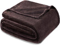 Exclusivo Mezcla Fleece Blanket Queen Size for Bed, Super Soft and Warm, All Season Use, Cozy, Plush, Lightweight, 90x90 Inches, Coffee