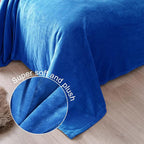 Exclusivo Mezcla Fleece Blanket Queen Size for Bed, Super Soft and Warm, All Season Use, Cozy, Plush, Lightweight, 90x90 Inches, Cobalt Blue