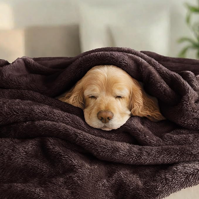Exclusivo Mezcla Plush Fuzzy Fleece Bed Blanket Queen Size, Super Soft, Fluffy and Warm Blankets，Suitable for All Seasons (Coffee, 90x90 Inches)