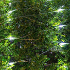 AWQ 360 LED 13.1ft x 6.6ft String Lights Net Mesh Lights Christmas Net Lights 8 Modes for Christmas Wedding Party Home Garden Lawn Bushes Bedroom Indoor Outdoor Decor (White)
