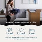 Lucid 14 Inch Memory Foam Mattress - Medium Firm Feel - Infused with Refreshing Bamboo Charcoal and Cooling Gel - Bed in a Box - Temperature Regulating - Pressure Relief - Breathable - Queen Size