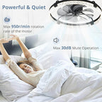LEDIARY 24 Inch Ceiling Fans with Lights and Remote, Modern Dimmable Low Profile Ceiling Fan, Black Flush Mount Ceiling Fan with 3 CCT and 6 Speeds