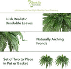Nearly Natural 48-in Artificial Boston Fern, Set of 2, Large Hanging Fake Plant Wall Decor with 67 Fronds, Faux Fern Vines that Look Real for Home and Office Decor