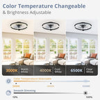 LEDIARY 2 Pack 20 Inch Low Profile Ceiling Fan with Lights and Remote, Dimmable Fandelier Ceiling Fans, Black Modern Flush Mount Ceiling Fan with 3 Color Temperature Change and 6 Speeds