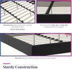 Novogratz The Her Majesty Upholstered Bed, King, Black Velvet