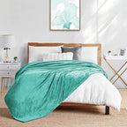 Walensee Fleece Blanket Plush Throw Fuzzy Lightweight (Throw Size 50x60 Turquoise) Super Soft Microfiber Flannel Blankets for Couch, Bed, Sofa Ultra Luxurious Warm and Cozy for All Seasons