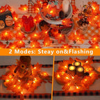 YEGUO 6 PCS Thanksgiving Decorations for Home, Fall Lights Battery Operated, Total 60ft 120 LED Lighted Fall Garland Maple Leaves for Halloween Holiday Autumn Harvest Fall Thanksgiving Decor
