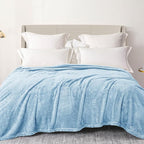 Exclusivo Mezcla Plush Fuzzy Fleece Bed Blanket Queen Size, Super Soft, Fluffy and Warm Blankets，Suitable for All Seasons (Light Blue, 90x90 Inches)
