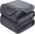 HOZY Soft Blanket Twin Size Fleece Warm Fuzzy Throw Blankets for The Bed Sofa Lightweight 350GSM Royal Blue 66"*90"
