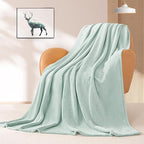 BEAUTEX Fleece Throw Blanket for Couch Sofa or Bed Throw Size, Soft Fuzzy Plush Blanket, Luxury Flannel Lap Blanket, Super Cozy and Comfy for All Seasons (50" x 60",Mint)