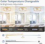 LEDIARY 22" Modern Ceiling Fans with Lights and Remote, Dimmable Low Profile Ceiling Fan, Flush Mount Fan, Stepless Color Temperature Change and 6 Speeds - Gold