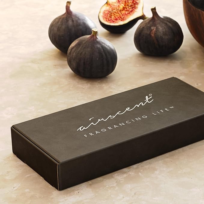 AirScent Hotel Diffuser Oil Gift Set - Metro City Hotel Scents - 10 mL, 0.34 fl oz Fragrance Oil Set - Inspired by The Hotel Costes Paris, Fairmont, London St James, The Baccarat Hotel and Others