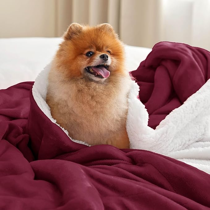 Bedsure GentleSoft Sherpa Fleece Throw Blanket for Couch - Thick and Warm Throw for Girls and Women, Soft Fuzzy Plush Christmas Blanket for Winter, Burgundy, 50x60 Inches