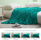 Exclusivo Mezcla Fleece Queen Size Blanket for Bed, 90x90 Inches Soft Cozy Jacquard Flannel Blankets, Lightweight Fuzzy Plush Warm for Winter, Teal