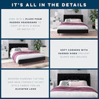 Novogratz The Her Majesty Upholstered Bed, Queen, Black Velvet