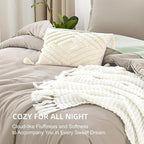 Litanika Comforters Oatmeal Oversized King Size, 3 Pieces Lightweight Solid Bedding Comforter Set, All Season Fluffy Bed Set (120x98In Comforter & 2 Pillowcases)