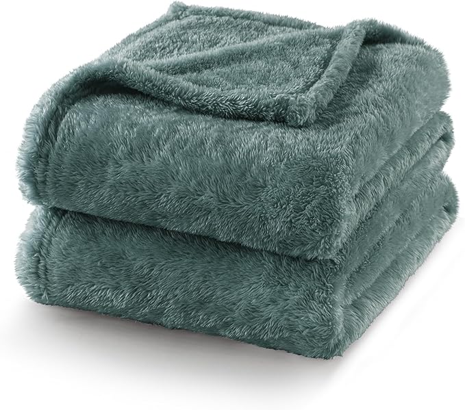 Exclusivo Mezcla Plush Fuzzy Fleece Bed Blanket Twin Size, Super Soft, Fluffy and Warm Blankets, Suitable for All Seasons (Celadon, 90x66 Inches)