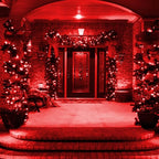 Dazzle Bright Red Christmas Mini String Lights, 20FT 100 Count Incandescent Waterproof Fairy Lights Plug in, Connectable Christmas Decorations for Indoor Outdoor Home Party Garden Yard