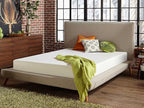 Live and Sleep Classic 8 Inch Medium Firm Memory Foam Mattress - Queen Bed in a Box with Firm Body Support, CertiPUR Certified - Queen Size