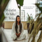 Westin Mini Home Diffuser Refill | Authentic White Tea Scent | Hotel Collection Refill Capsule | Up to 300 Hours | Notes of White Tea, Cedar, Vanilla | Waterless Fragrance for Plug-in Wall Diffusers