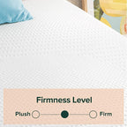 ZINUS 8 Inch Green Tea Essential Memory Foam Mattress, Twin, Mattress in A Box, Affordable Mattress, CertiPUR-US Certified