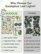 suddus Vines with Lights Plug in, 33ft 100 LED Eucalyptus Garland String Light Connectable with Remote, Leaf Lights for Bedroom, Room, Wall, Garden, Party, Wedding Decor (Warm White)