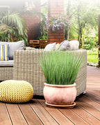 Vlorart 33" Artificial Plants 6 Pack Onion Tall Grass Greenery, Faux Fake Grass Shrubs Plant Flowers Wheat Grass for House Home Indoor Outdoor Office Room Gardening Indoor Décor-Green