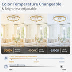 LEDIARY 2 Pack 20 Inch Low Profile Ceiling Fan with Lights and Remote, Dimmable Fandelier Ceiling Fans, Gold Modern Flush Mount Ceiling Fan with 3 Color Temperature Change and 6 Speeds