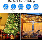LIDORE Super Bright Clear Mini Christmas Tree String Lights, Gift for Decoration, 21.45FT 100 Count Bulbs with Green Cord, UL Listed Indoor Outdoor Lighting for Holiday (Green Cable, 1-Pack)