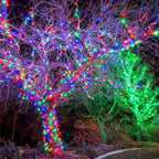 BrizLabs Colored Christmas Lights, 139.2ft 600 Count Christmas Tree Lights, 120V UL Certified Connectable Incandescent Mini Light String Set for Outdoor Indoor Xmas Party Garden Home Decor
