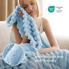 Bedsure GentleSoft Blue Fleece Blanket for Couch - Cozy Soft Blankets for Women, Cute Small Throws for Girls, Light Blue, 60x80 Inches