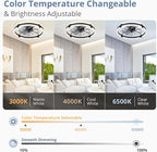 LEDIARY 24 Inch Ceiling Fans with Lights and Remote, Modern Dimmable Low Profile Ceiling Fan, Black Flush Mount Ceiling Fan with 3 CCT and 6 Speeds