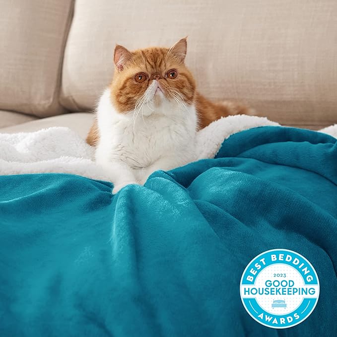 Bedsure GentleSoft Sherpa Fleece Throw Blanket for Couch - Thick and Warm Throw for Women and Men, Soft Fuzzy Plush Blanket for Winter, Teal, 50x60 Inches