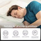 NapQueen Twin Size, 10 Inch Anula Green Tea Infused Memory Foam Mattress, Bed in a Box, CertiPUR-US Certified Mattress