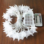Homeleo 25ft 50 LED Multicolor Star String Lights for Bedroom Decorations, Battery Operated Led Christmas Lights for Apartment Dorm Room Decor(Remote/Timer/Warm White Multicolor Combination)