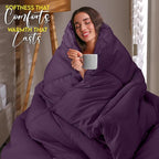 Utopia Bedding Comforter Duvet Insert, Quilted Comforter with Corner Tabs, Box Stitched Down Alternative Comforters Queen Size (Plum)