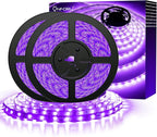 Onforu 32.8ft LED Black Light Strip Kit, 600 Units Lamp Beads, 12V Flexible Blacklight Fixtures, 10m Ribbon, Non-Waterproof for Glow Party, Indoor Birthday, Body Paint,Halloween