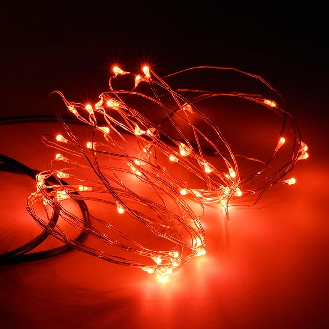 Karlling USB Plug in LED Fairy Lights,2 Packs of 50 LED Bulbs 16 Ft Silver Wire Waterproof Starry String Lights for Bedroom Patio Garden Party Wedding Commercial Lighting (Red)